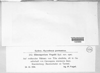 Image Associated With the Occurence